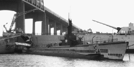 USS Lionfish